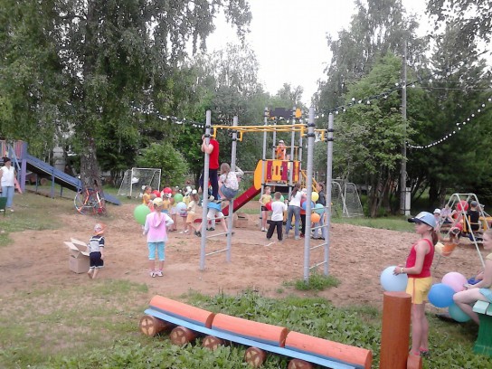 В петуниях утопают Палевицы