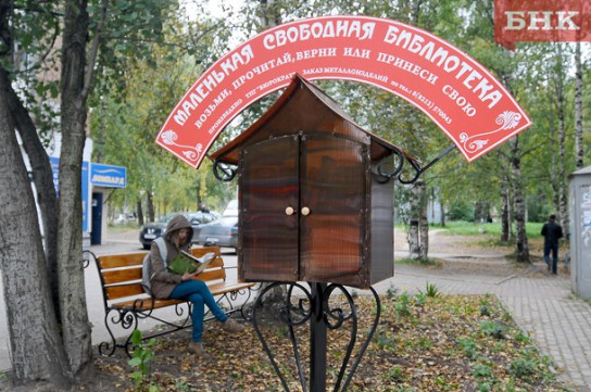 Сыктывкар стал первым российским городом на всемирной карте свободных библиотек