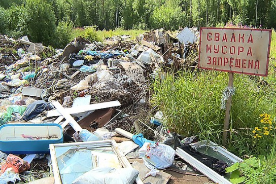 Дырносские дачники утопают в мусоре