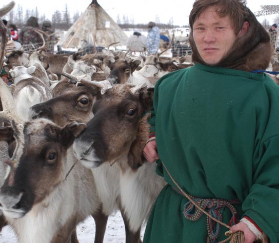 Ижемский политехнический техникум и в этом году не набрал группу оленеводов