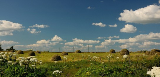 Усть-цилемские фермеры завершают сенокос