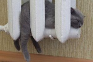 В домах Корткеросского района уже тепло
