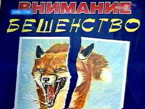 Бешенство подступает к границам Коми