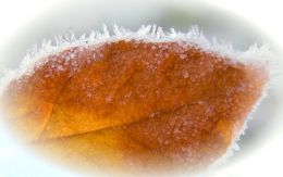 Итоги ухтинской среды