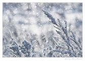 Итоги ухтинского четверга