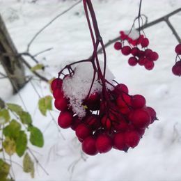 Итоги ухтинской пятницы