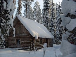 Итоги ухтинского понедельника