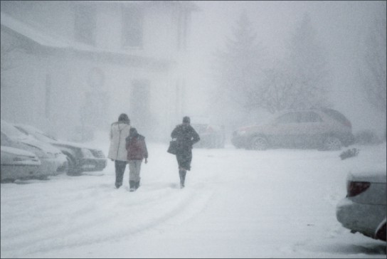 Погода на выходные в Коми: на севере - холодно и ветрено, на юге - снегопады и метель
