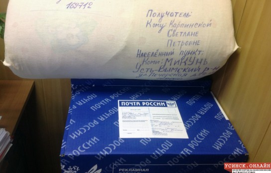 Усинцы помогли жительнице Микуня