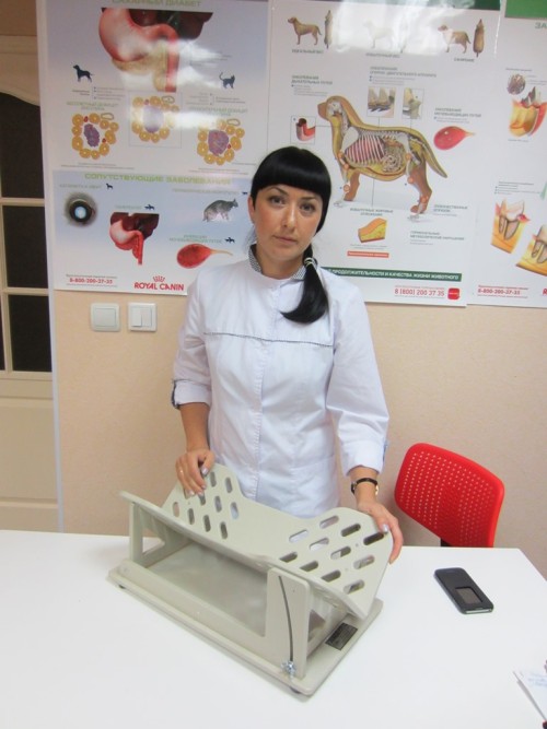 На рынке ветеринарных услуг должна быть конкуренция