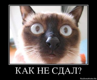 Итоги ухтинской недели