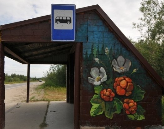 Серые и безликие остановки обретут яркий вид