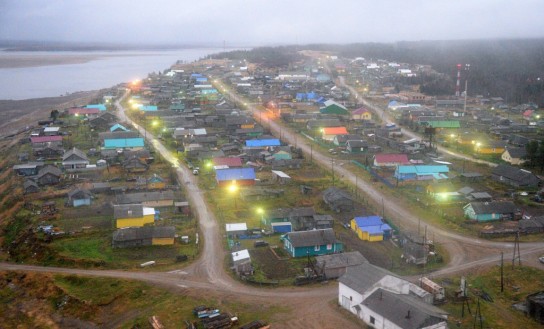 Стадо коров обесточило село в Усинском районе