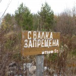 Количество стихийных свалок в Сыктывдинском районе увеличивается в геометрической прогрессии